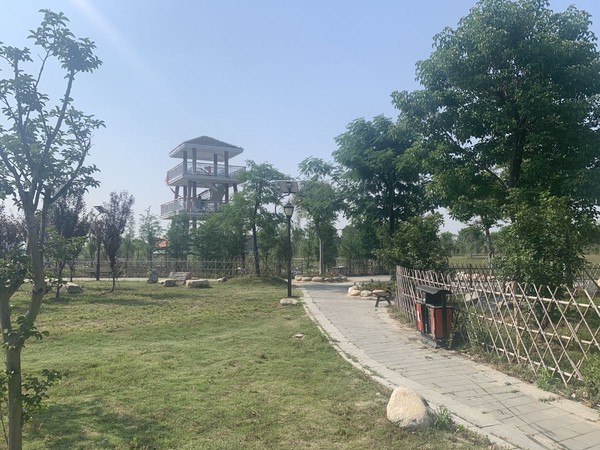 蚌埠市天公河及席家溝部分岸線(xiàn)環(huán)境綜合治理工程（天河張公湖連通工程）施工Ⅱ標